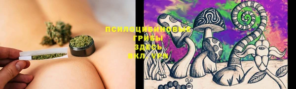 гидра Алексин