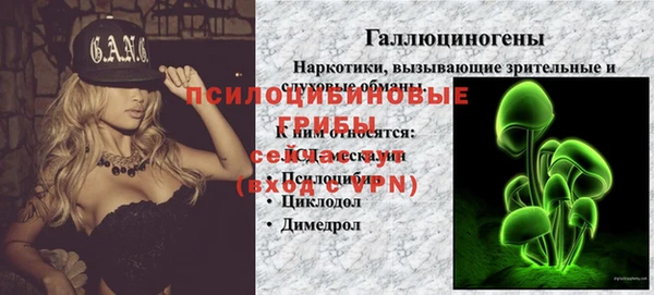 гидра Алексин