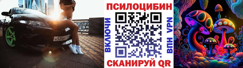 OMG ссылка  Санкт-Петербург  Галлюциногенные грибы Psilocybine cubensis 