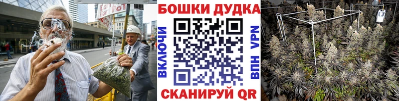 Канабис MAZAR  цена   Санкт-Петербург 